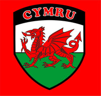 Kids Wales Welsh Football Soccer Team T-Shirt - Sizes 3/4 to 12/13