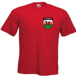 Kids Wales Welsh Football Soccer Team T-Shirt - Sizes 3/4 to 12/13